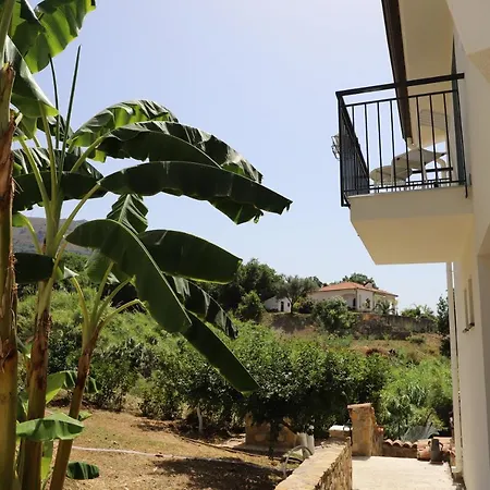 Assabinirica Bed and breakfast