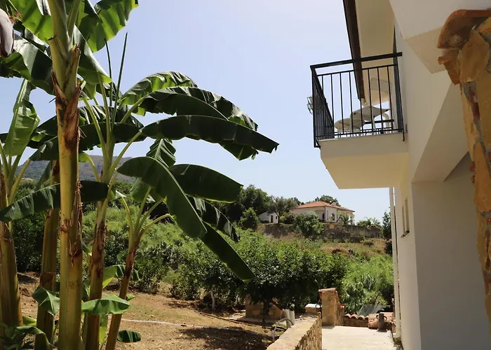 Assabinirica Bed & Breakfast